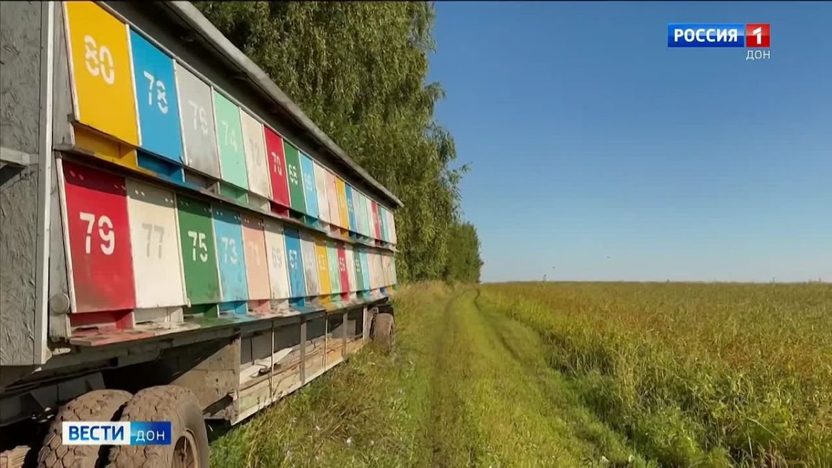 В многодетной семье Васильевых, кажется, тишина не предусмотрена - здесь поют, играют на музыкальных инструментах, растят 14 детей и ждут 22-го внука