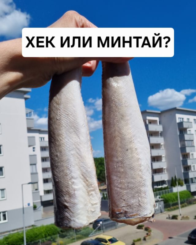Хек и минтай: что выбрать для вкусного и полезного ужина?