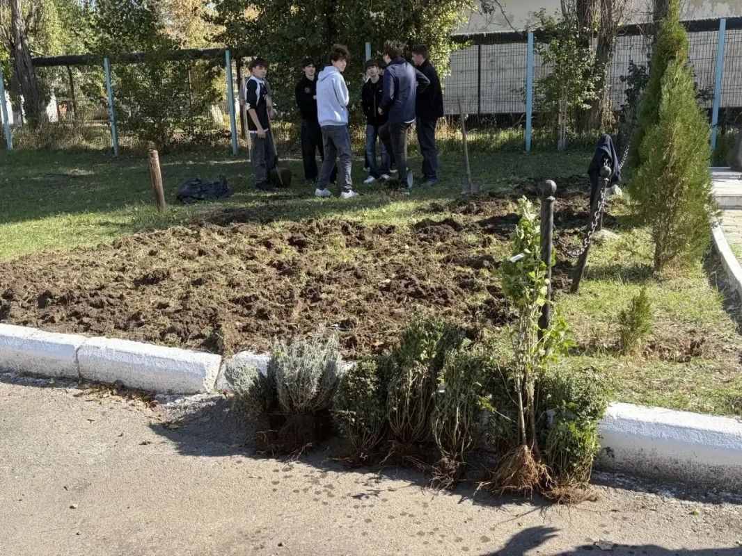 На территории школы № 23 в Октябрьском территориальном отделе прошёл День древонасаждения На территории школы № 23 в Октябрьском территориальном отделе прошёл День древонасаждения