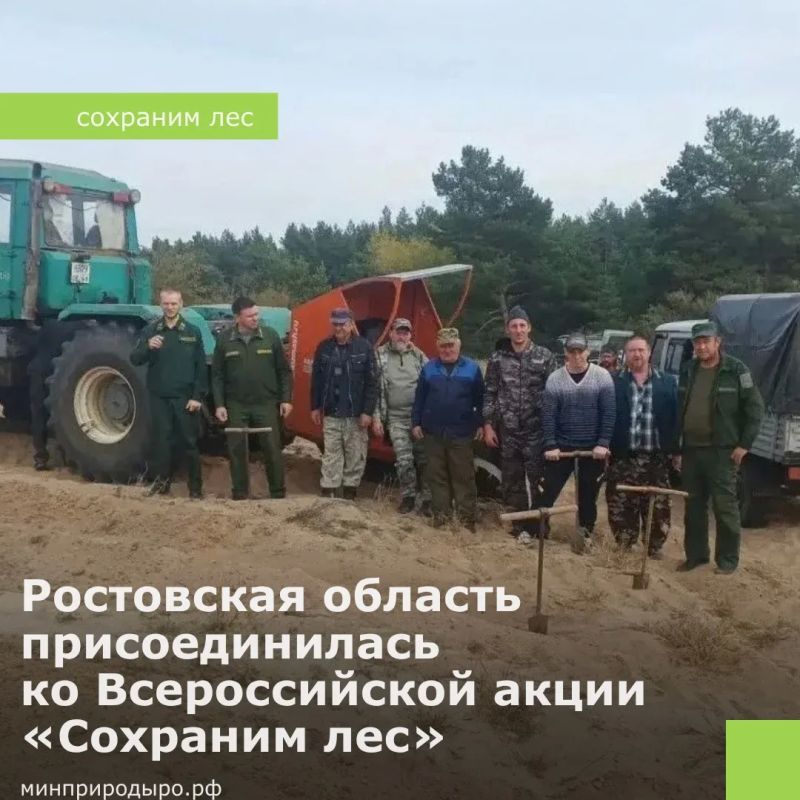 Ростовская область присоединилась ко Всероссийской акции «Сохраним лес»