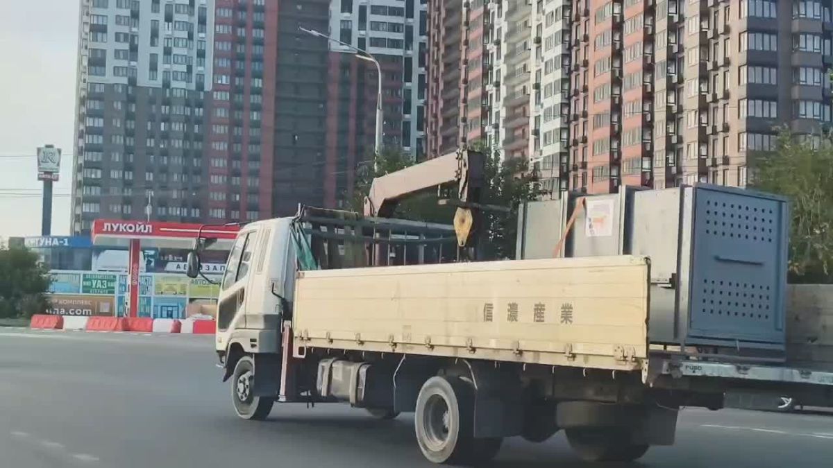 В Ростовский зоопарк переехали медведицы Маша и Даша