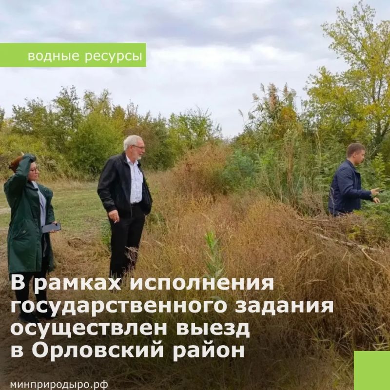 В рамках исполнения государственного задания сотрудники ГБУ РО «Управление водохозяйственным комплексом Ростовской области» провели рабочий выезд в Орловский район