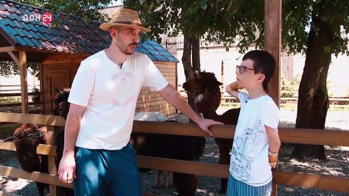 Почему альпаки плюются, кто у них главный и при чём тут прямоугольные зрачки? Новый выпуск «Привычной среды»