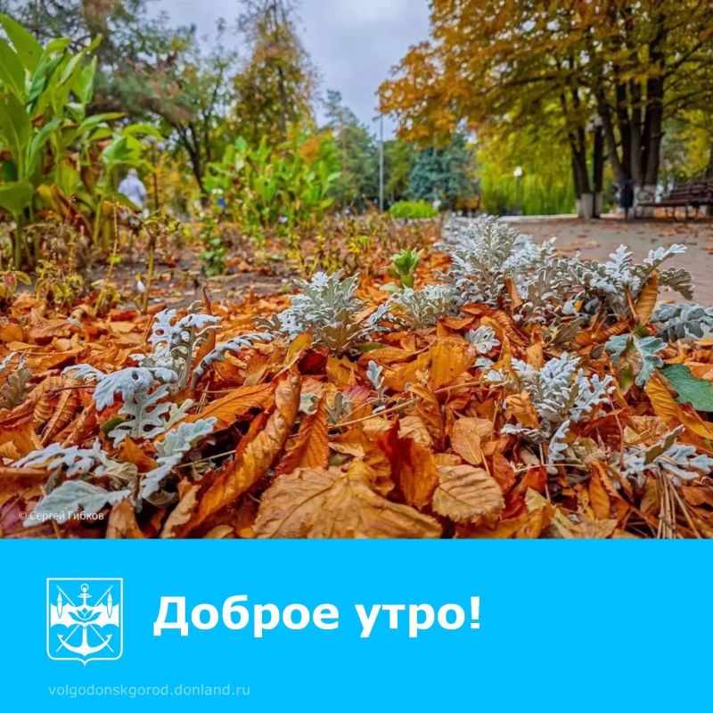 Приближаются выходные! В утренней череде дел и забот найдите минутку, чтобы заметить, как Волгодонск переодевается в осенний наряд