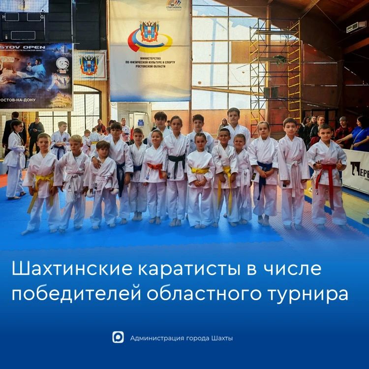 Шахтинцы завоевали много медалей на соревнованиях по каратэ