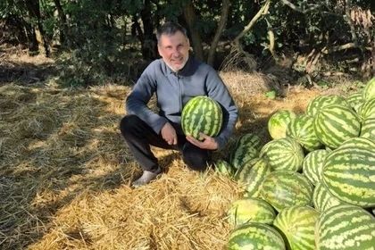 Фермер из Белой Калитвы Александр Карапетов взял две награды на «Агробатл2026»: кубок за самый сладкий арбуз и третье место за тыкву весом 87,5 кг
