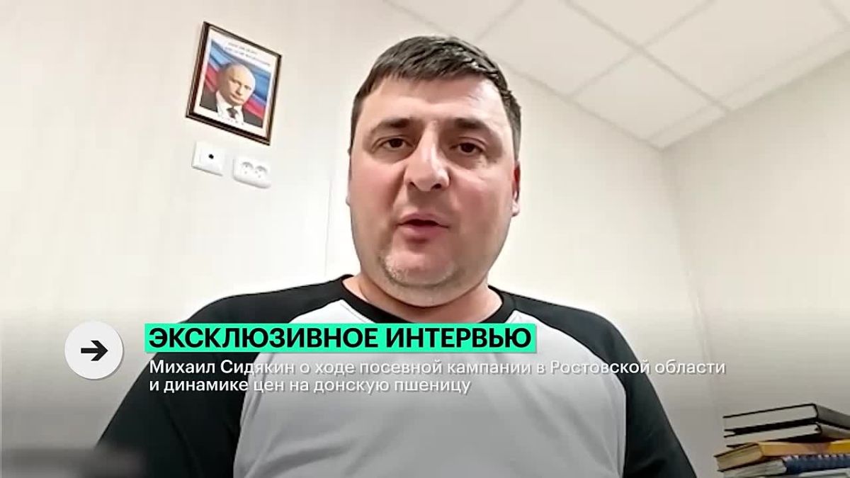 Цены на озимую пшеницу на 40% ниже себестоимости