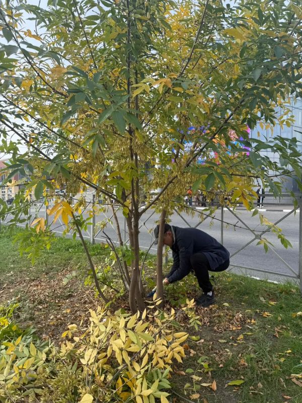 В Батайске прошёл очередной городской субботник В Батайске прошёл очередной городской субботник