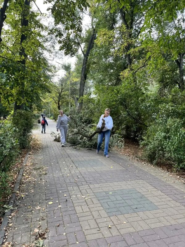 В Батайске прошёл очередной городской субботник В Батайске прошёл очередной городской субботник