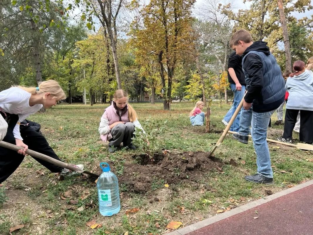 10 октября в парке «Электровозостроителей» прошла акция по высадке деревьев и кустарников 10 октября в парке «Электровозостроителей» прошла акция по высадке деревьев и кустарников
