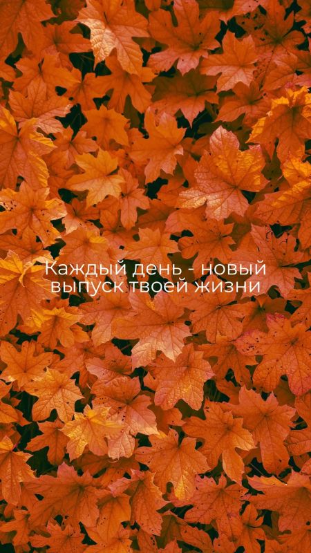 #БеремНаЗаметку. Телефон с нами каждый день #БеремНаЗаметку. Телефон с нами каждый день