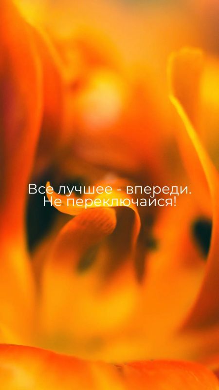 #БеремНаЗаметку. Телефон с нами каждый день #БеремНаЗаметку. Телефон с нами каждый день