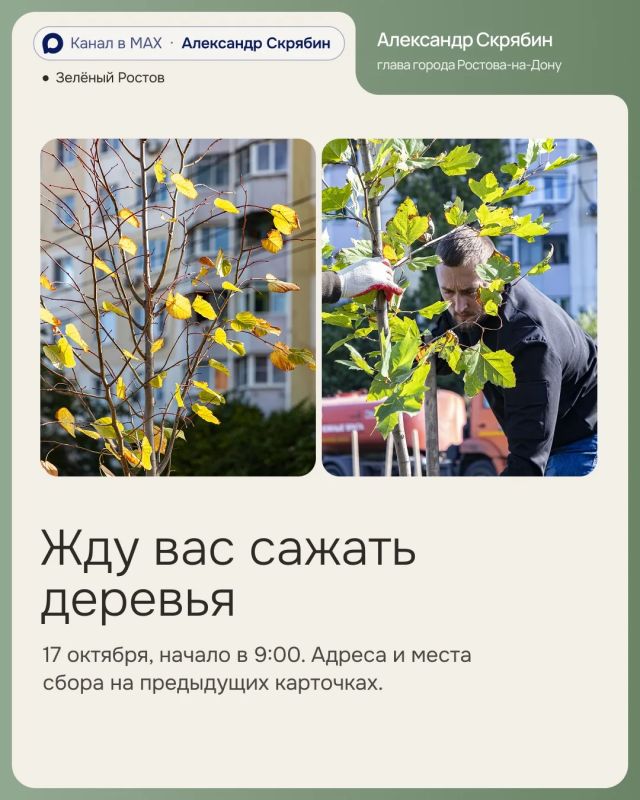 Александр Скрябин: 17 октября в Ростове пройдёт осенний День древонасаждения, и я приглашаю всех присоединиться Александр Скрябин: 17 октября в Ростове пройдёт осенний День древонасаждения, и я приглашаю всех присоединиться