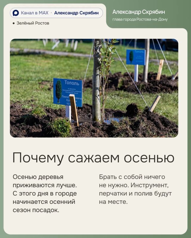 Александр Скрябин: 17 октября в Ростове пройдёт осенний День древонасаждения, и я приглашаю всех присоединиться Александр Скрябин: 17 октября в Ростове пройдёт осенний День древонасаждения, и я приглашаю всех присоединиться
