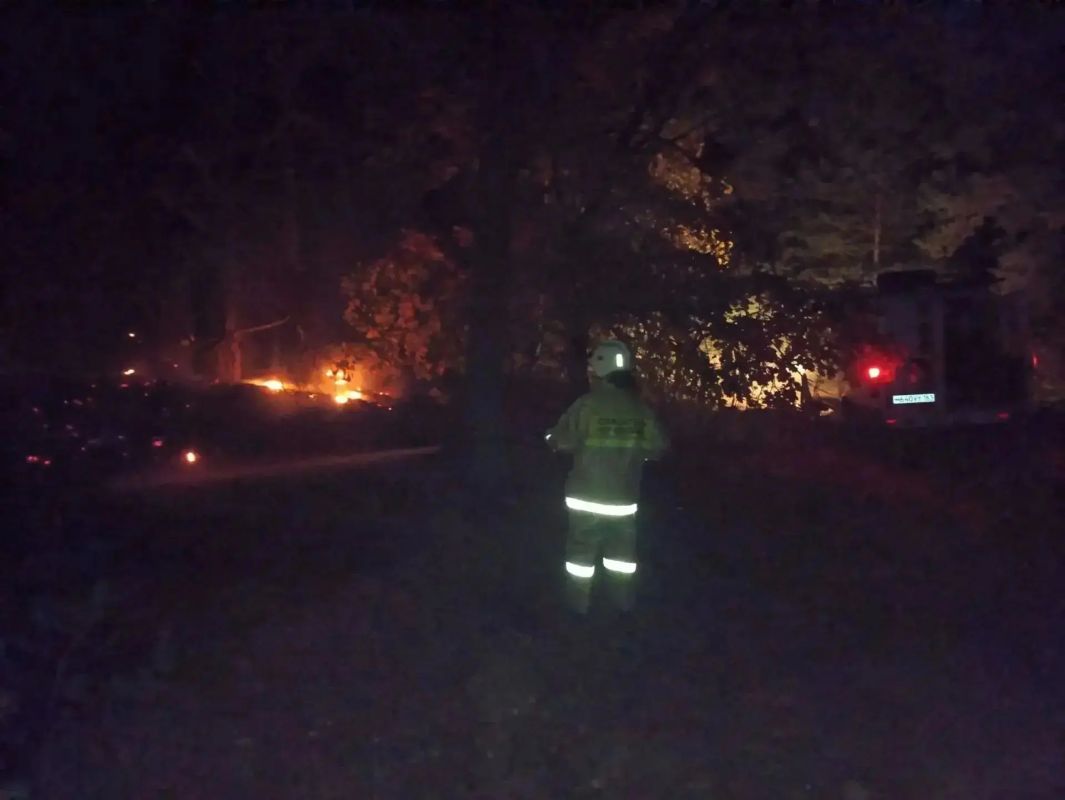 Хутор Дубровский сегодня ночью оказался под угрозой - к населенному пункту подступало пламя разгоревшегося лесного пожара Хутор Дубровский сегодня ночью оказался под угрозой - к населенному пункту подступало пламя разгоревшегося лесного пожара