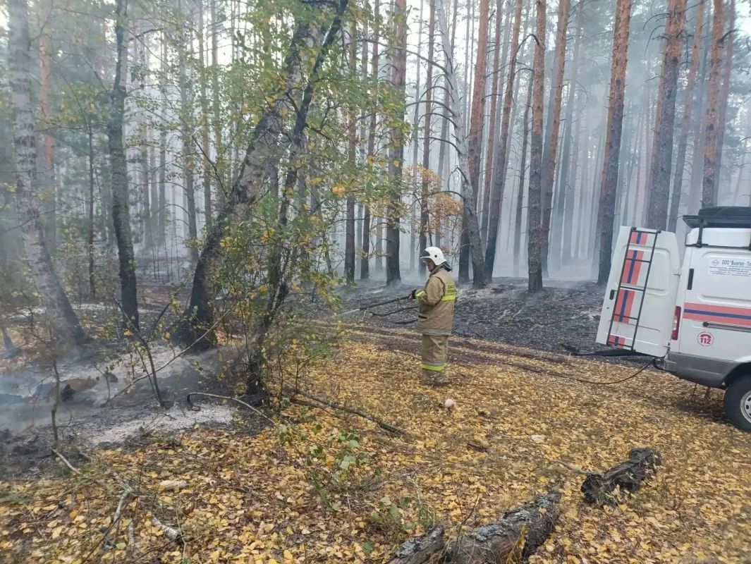 Хутор Дубровский сегодня ночью оказался под угрозой - к населенному пункту подступало пламя разгоревшегося лесного пожара Хутор Дубровский сегодня ночью оказался под угрозой - к населенному пункту подступало пламя разгоревшегося лесного пожара