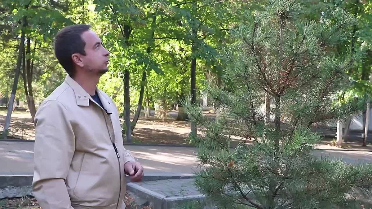 Александр Скрябин: Уже завтра в нашем городе состоится осенний День Древонасаждения!
