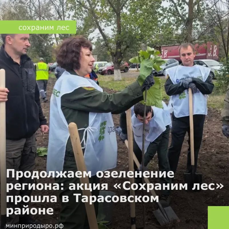 70 катальп у памятника Героям СССР: в Тарасовском районе прошла акция «Сохраним лес»!