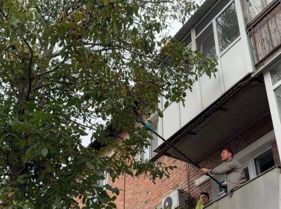 Октябрьским территориальным отделом проводятся работы по благоустройству с участием волонтёров Октябрьским территориальным отделом проводятся работы по благоустройству с участием волонтёров