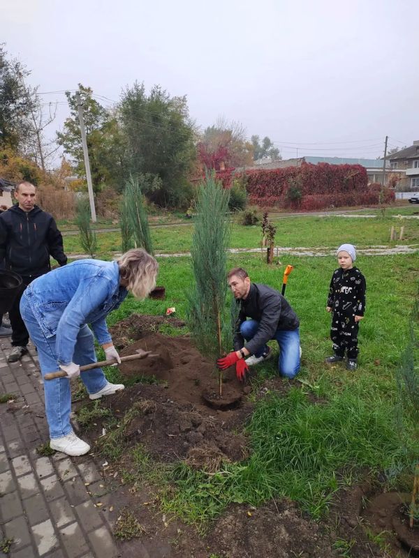 Майчане заложили аллею памяти: в сквере ДК им. Чиха высадили деревья в честь воинов СВО Майчане заложили аллею памяти: в сквере ДК им. Чиха высадили деревья в честь воинов СВО