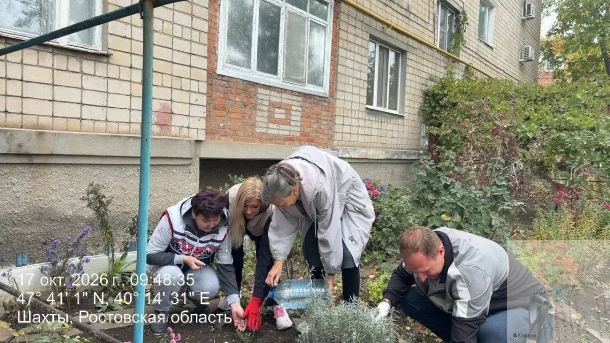 Зелёный посёлок: как жители и администрация преобразили улицу Красинскую Зелёный посёлок: как жители и администрация преобразили улицу Красинскую