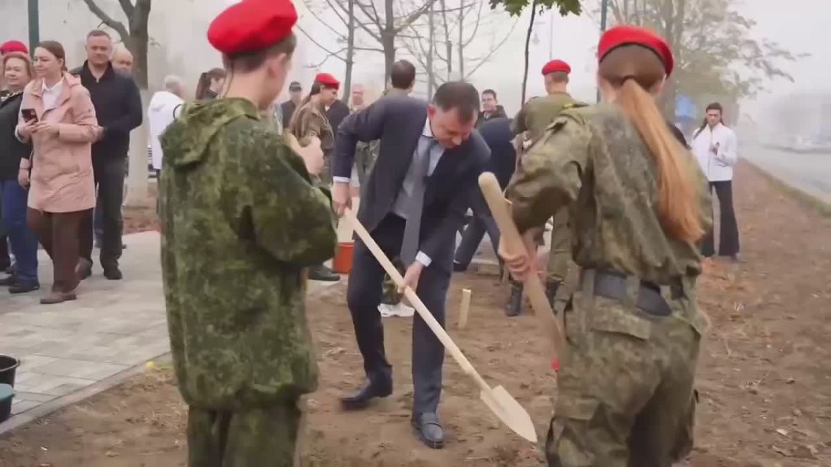 2 000 кустов роз в Ростове, более 25 тыс