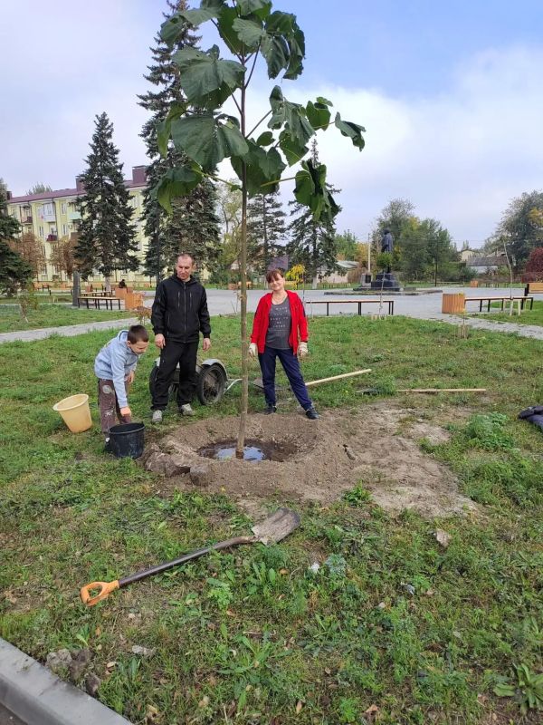 Майчане заложили аллею памяти: в сквере ДК им. Чиха высадили деревья в честь воинов СВО Майчане заложили аллею памяти: в сквере ДК им. Чиха высадили деревья в честь воинов СВО