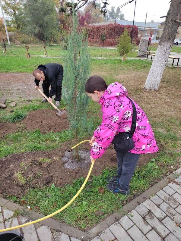 Майчане заложили аллею памяти: в сквере ДК им. Чиха высадили деревья в честь воинов СВО Майчане заложили аллею памяти: в сквере ДК им. Чиха высадили деревья в честь воинов СВО