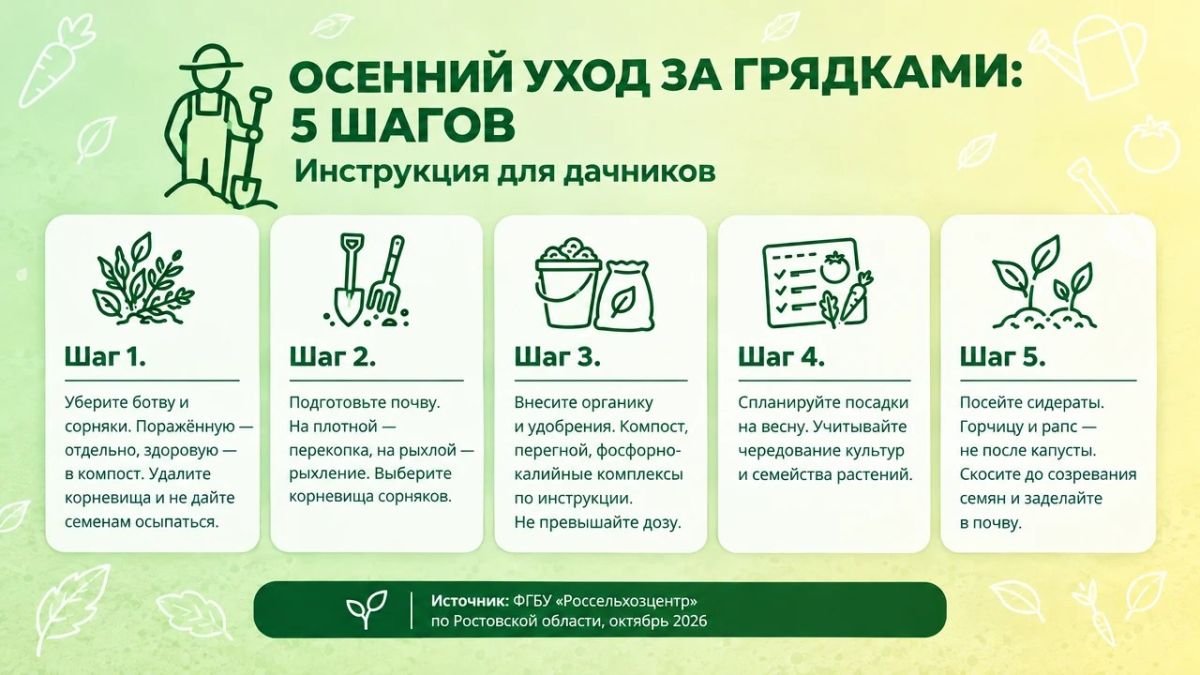Осень на даче: 5 дел, которые спасут ваш урожай в следующем году