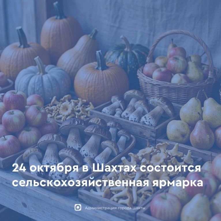 24 октября в городе Шахты пройдет сельскохозяйственная ярмарка «выходного дня»