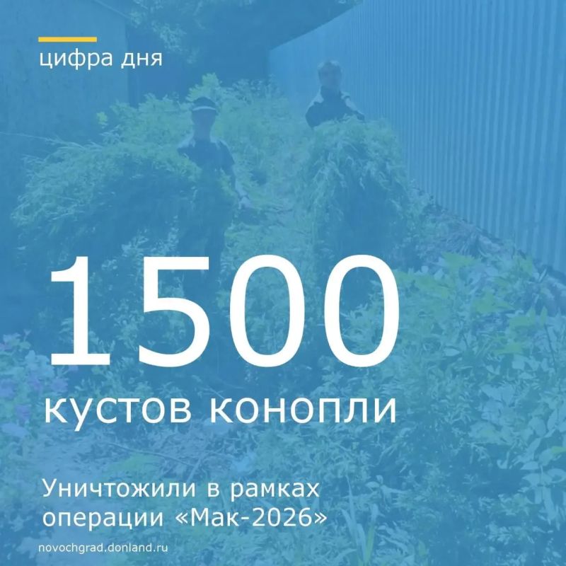 В рамках проведения межведомственной комплексной оперативно-профилактической операции «Мак-2026» сотрудники отдела по контролю за оборотом наркотиков Межмуниципального управления МВД России «Новочеркасское» совместно с...