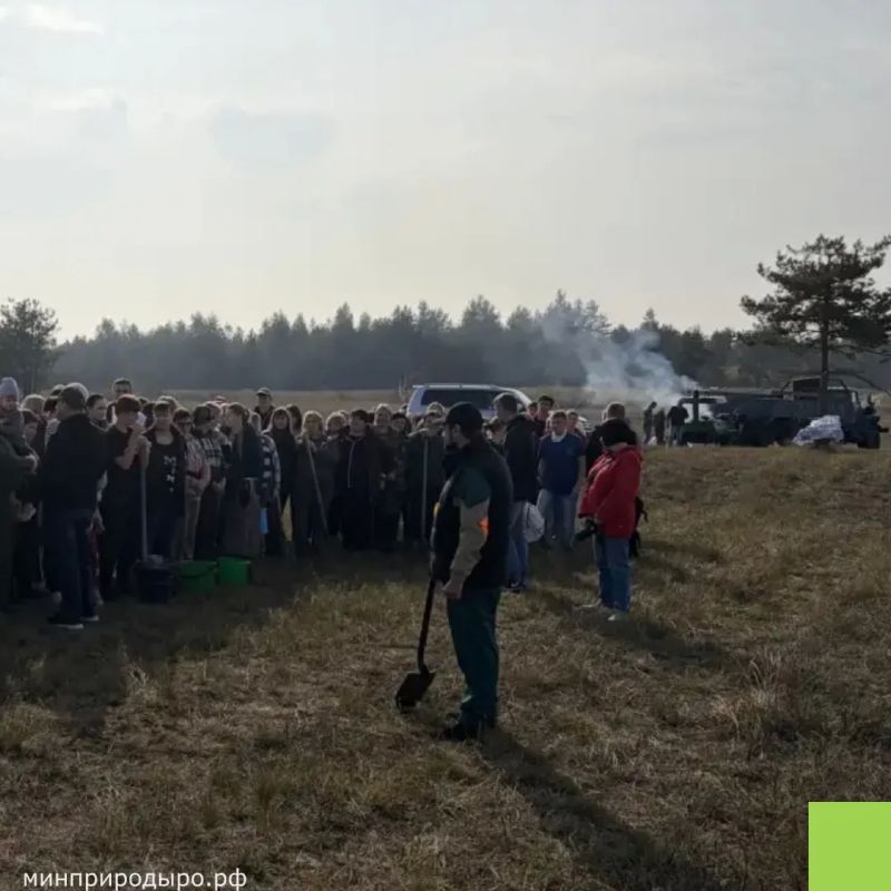 На Дону продолжается экологическая акция «Сохраним лес» На Дону продолжается экологическая акция «Сохраним лес»