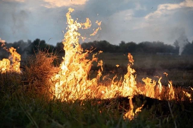24 октября В Ростовской области объявлена чрезвычайная пожароопасность