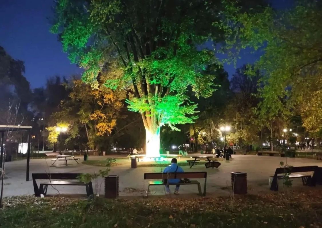 Уличное освещение восстановили в сквере Оганова в Ростове
