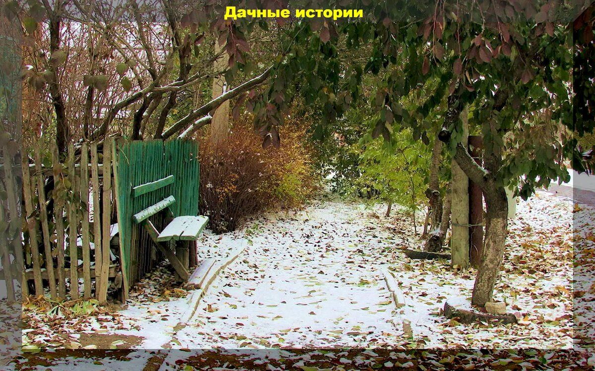Осенняя забота о саде: эффективные методы дезинфекции почвы и ответы на актуальные вопросы дачников