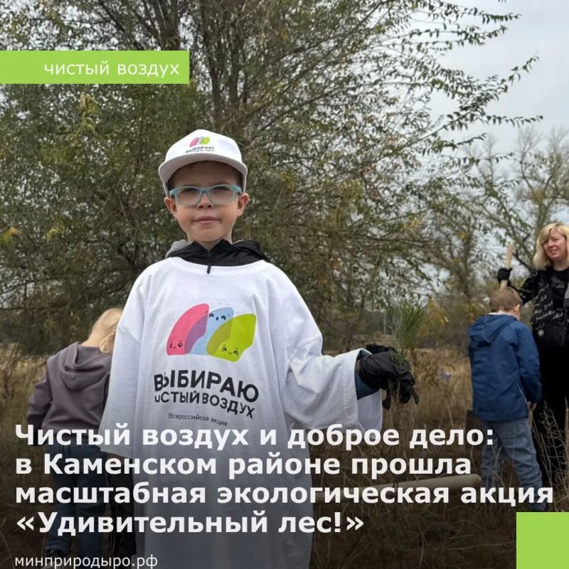 Чистый воздух и доброе дело: в Каменском районе прошла масштабная экологическая акция «Удивительный лес»