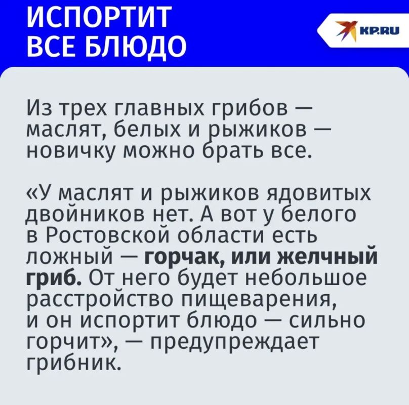 «Багажник белых» и бледная поганка: где искать, что собирать и как не положить в корзину смертельный гриб, рассказал эксперт «Багажник белых» и бледная поганка: где искать, что собирать и как не положить в корзину смертельный гриб, рассказал эксперт
