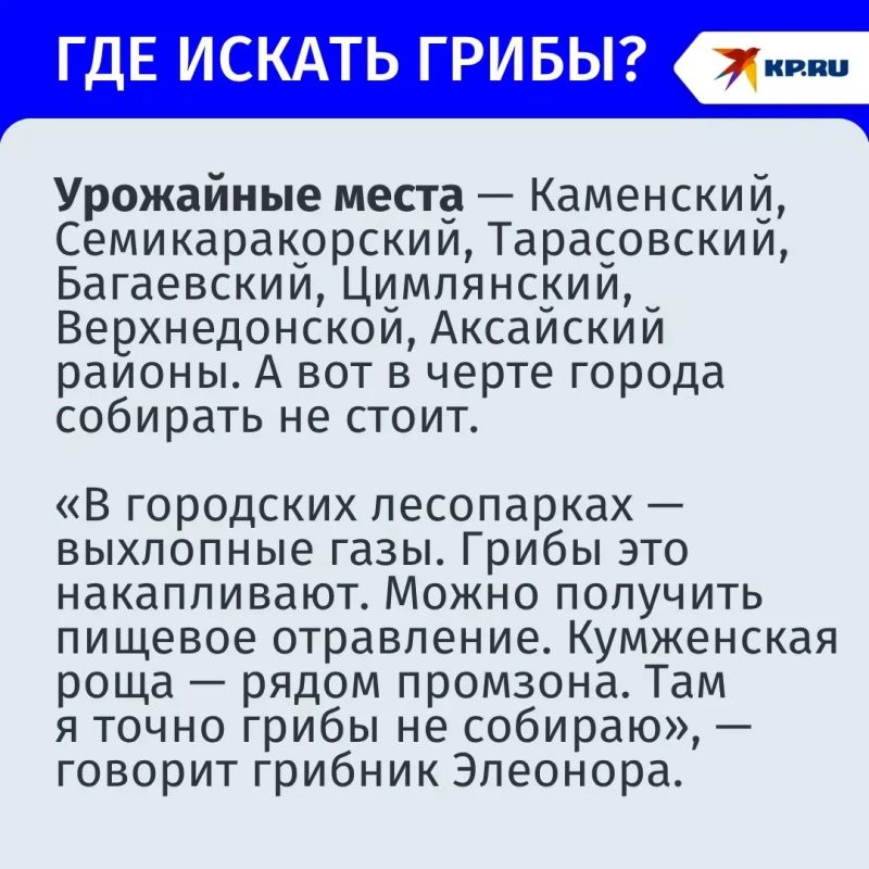 «Багажник белых» и бледная поганка: где искать, что собирать и как не положить в корзину смертельный гриб, рассказал эксперт «Багажник белых» и бледная поганка: где искать, что собирать и как не положить в корзину смертельный гриб, рассказал эксперт