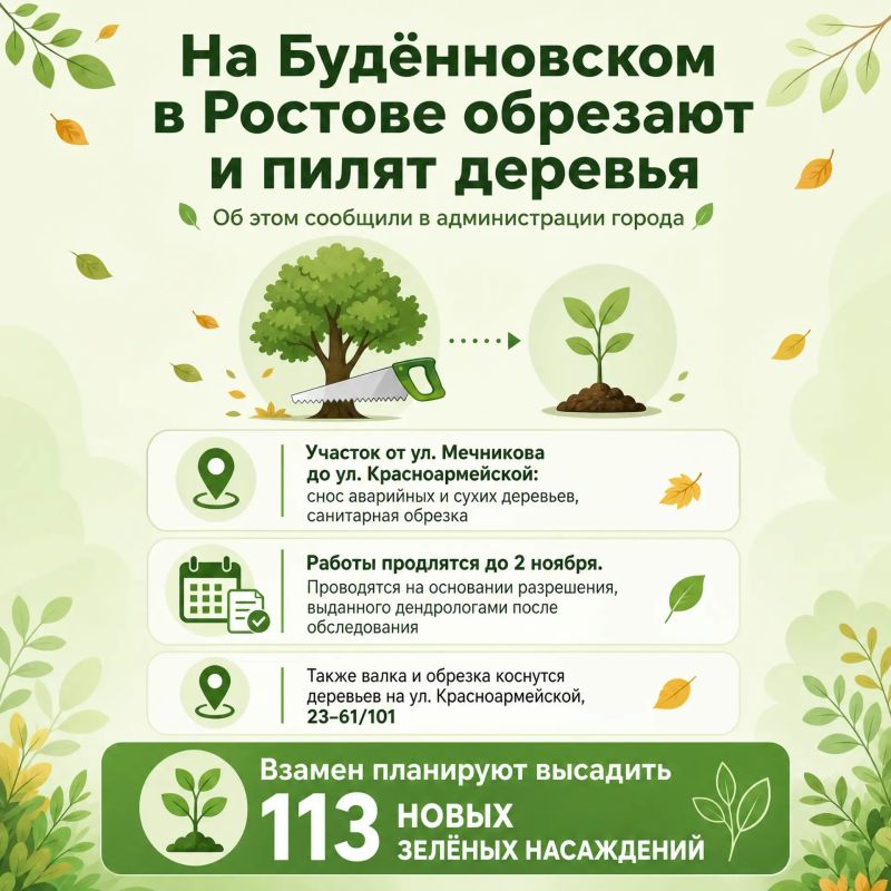 На просп. Будённовском в Ростове обрезают и пилят деревья