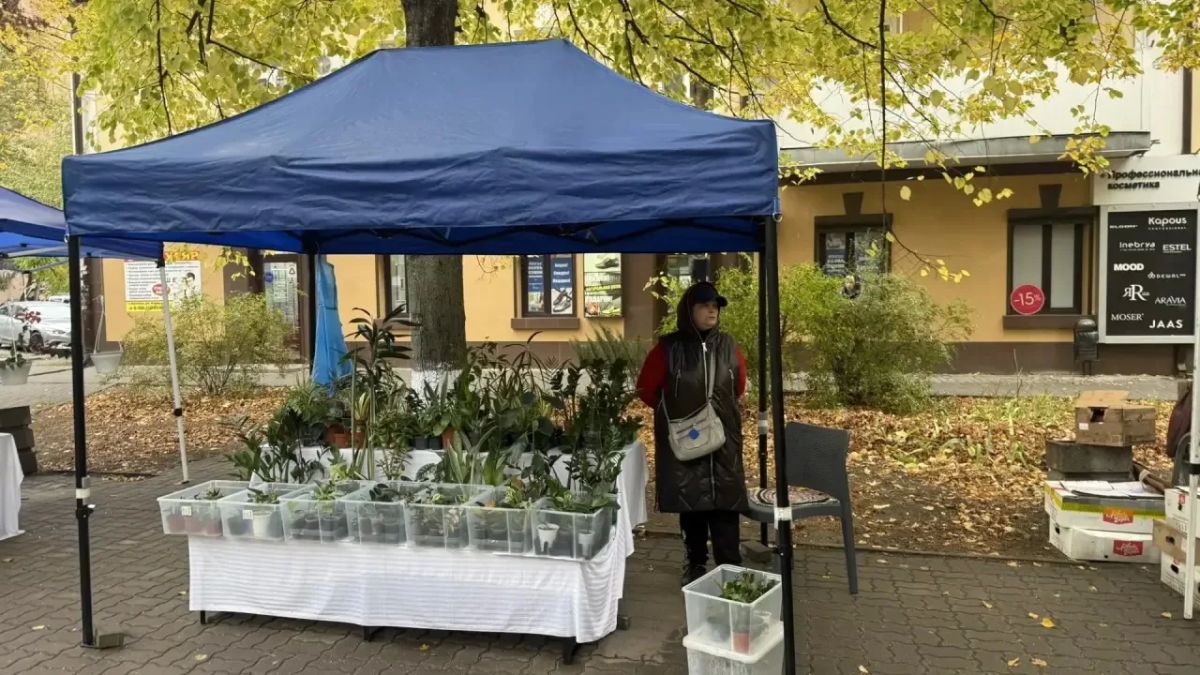На аллее Кирова в Батайске прямо сейчас работает ярмарка На аллее Кирова в Батайске прямо сейчас работает ярмарка