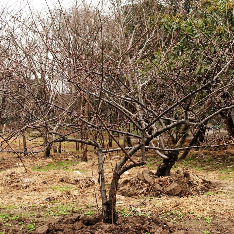 ����������� �������, ������� ����� ��������� ��� ��� � ��������������