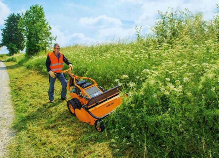 Как эффектно и аккуратно косить траву вокруг клумб: секреты ухода за участком