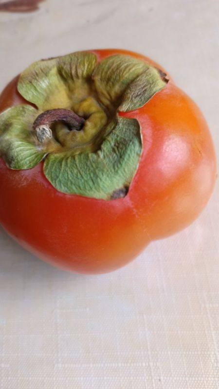 Хурма «Ромашка»: вкусное удовольствие для здоровья и радости