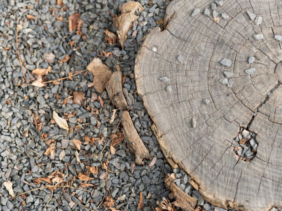 Как создать красивую и долговечную деревянную дорожку на даче