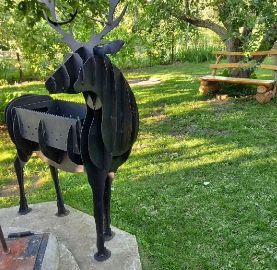 Газон vs огород: почему садоводы по-прежнему выбирают грядки?