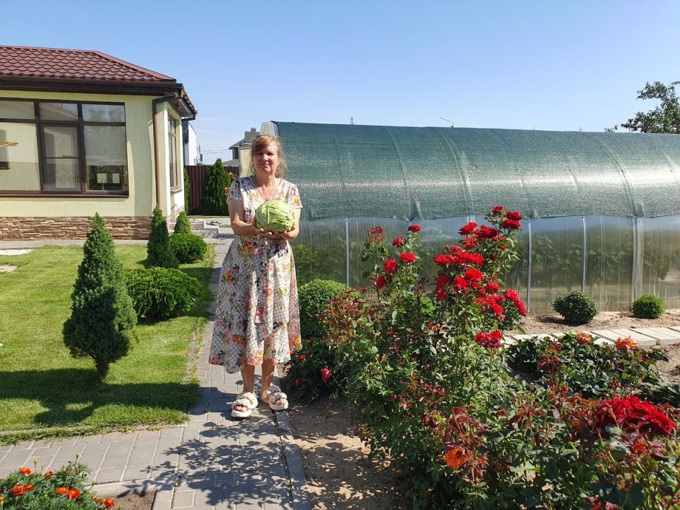 Секреты успешного сбора и хранения капусты до весны