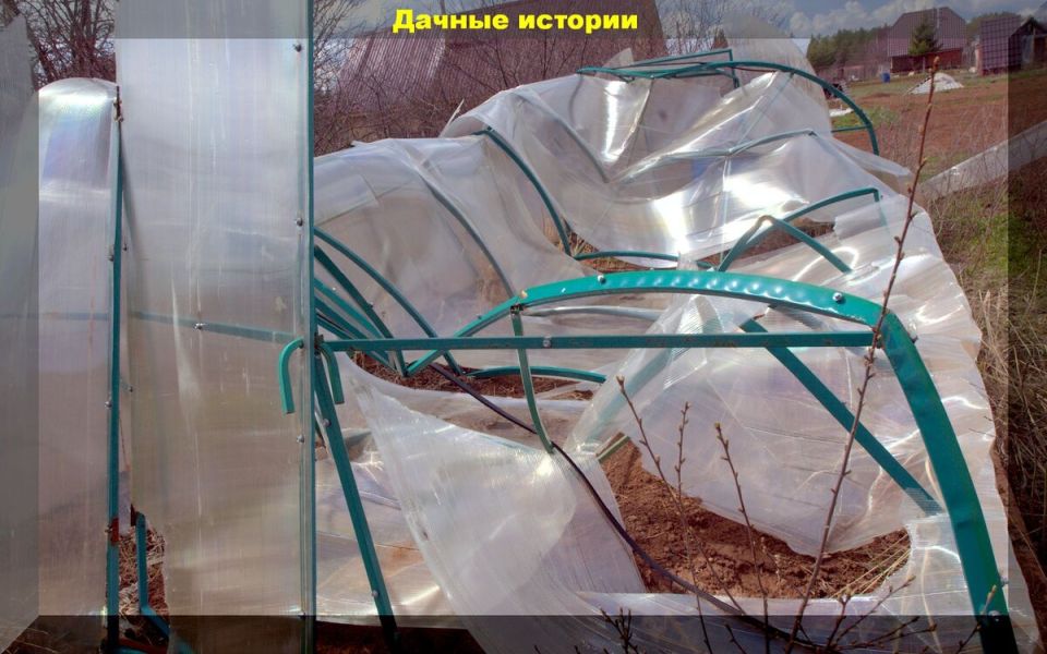 Как быстро и недорого восстановить поликарбонат: советы для дачников