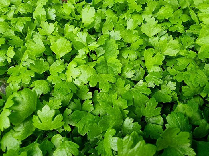 Что есть, чтобы не стареть: 5 продуктов, которые сохранят вашу молодость