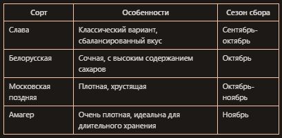 Квашеная капуста: как добиться идеального вкуса и хруста