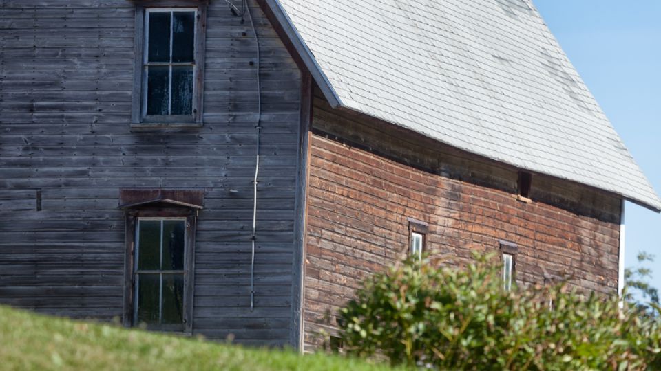 Как неожиданное возвращение соседки стало причиной судебного разбирательства